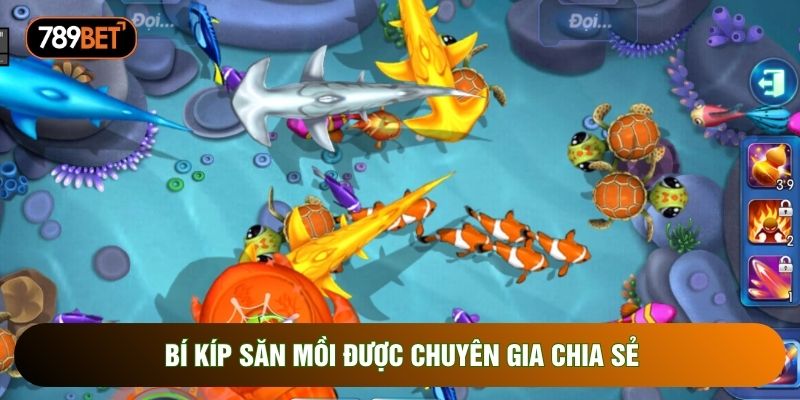 Bí kíp săn mồi được chuyên gia chia sẻ Bí kíp săn mồi được chuyên gia chia sẻ