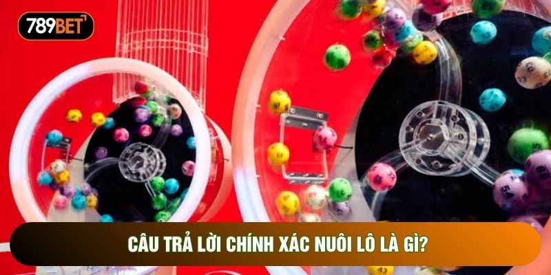 Câu trả lời chính xác nuôi lô là gì? Câu trả lời chính xác nuôi lô là gì?